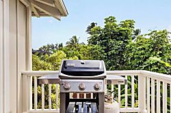 Kealoha ~ Hanalei Bay - Property grounds