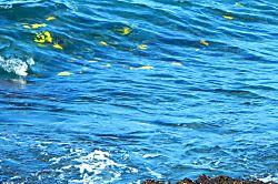 Kona Surf Racquet Club Townhouse 195