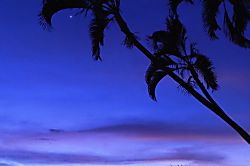 Kona Surf Racquet Club Townhouse 195