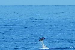 Kona Surf Racquet Club Townhouse 195