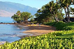 Grand Champions Villas Studio