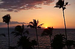 Grand Champions Villas Studio