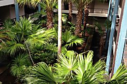 Kona Reef Ground Floor