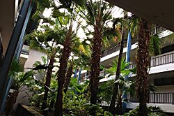 Kona Reef Ground Floor