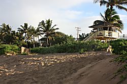 Maui Vista 1 Ocean View Condo