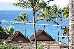 Maui Vista 1 Ocean View Condo
