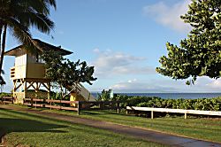 Maui Vista 1 Ocean View Condo