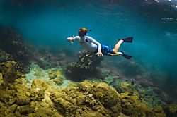 Maui Vista 1 Ocean View Condo