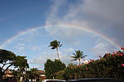 Maui Vista 1 Ocean View Condo