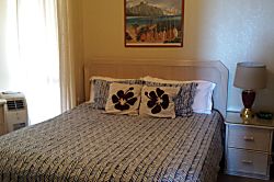 Maui Vista 1 Ocean View Condo