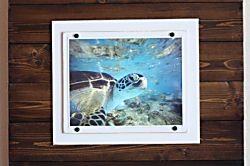 Maui Vista 1 Ocean View Condo