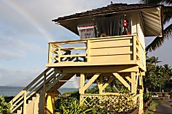 Maui Vista 1 Ocean View Condo