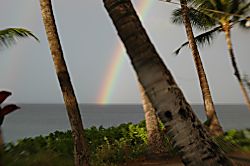 Classic Beachfront Studio