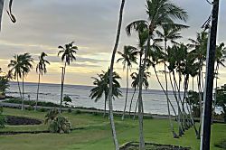 Prince Kuhio Studio 335