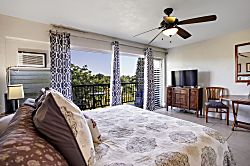 Prince Kuhio Studio 335