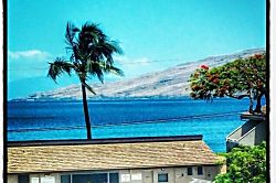Kihei Holiday C-313
