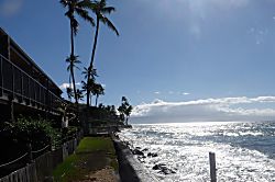 Maui Sands 703