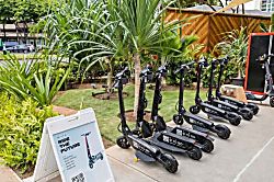 Hawaiian Monarch Rental