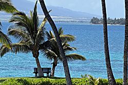 Kihei Surfside 208 - Miscellaneous