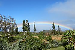 Aloha Hookipa Bayview Cottage