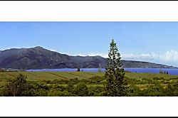 Aloha Hookipa Bayview Cottage