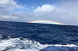 Pacific Shores V-314