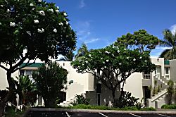 The Palms at Wailea 1603