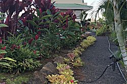 Tropical Beach Get Away