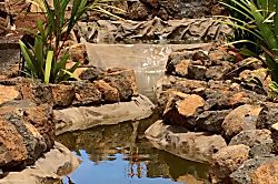 Tropical Beach Get Away