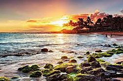 Tropical Beach Get Away