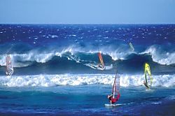 Great Location Beach Cottage