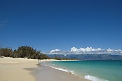 Great Location Beach Cottage