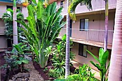 McGee's Maui Condo