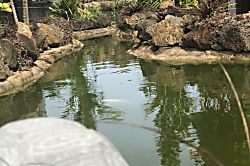 Sunny Villa Poipu Beach