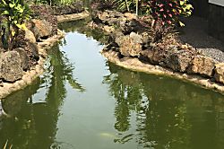 Sunny Villa Poipu Beach