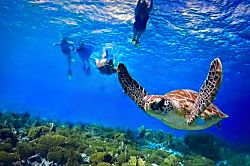 Brenneckes Beach House