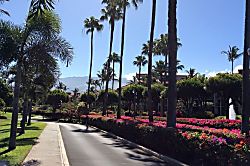 Kamaole Sands Unit #5-113