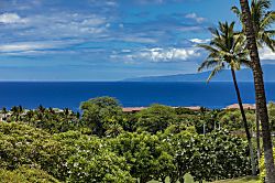 Wailea Ekolu 302