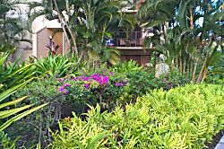 Kauai Beach Villas Unit C4