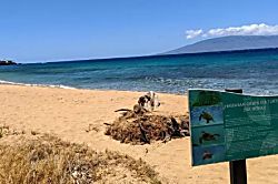 Maui Kai 901