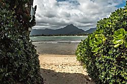 Kailua Oceanfront Oasis Unit
