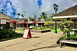 Islander on the Beach Resort