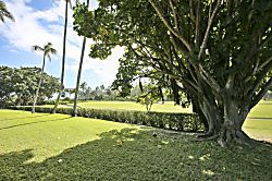 Kuilima Estates Condo Rental