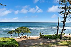 Islander on the Beach #348