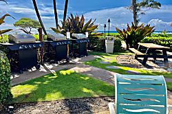 Islander on the Beach #348