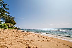 Islander on the Beach #348