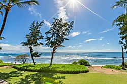 Islander on the Beach #348