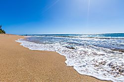 Plantation Hale Suites J16 