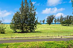 Plantation Hale Suites J16 