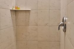 Polynesian Shores #201